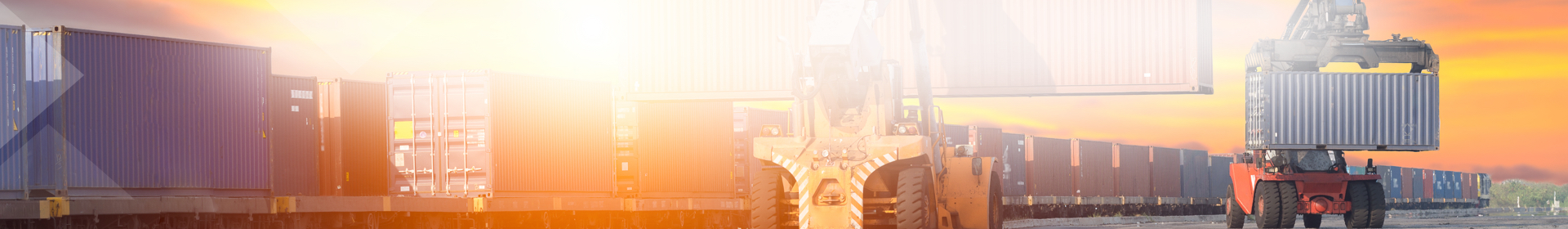 Organizasyon Yapısı